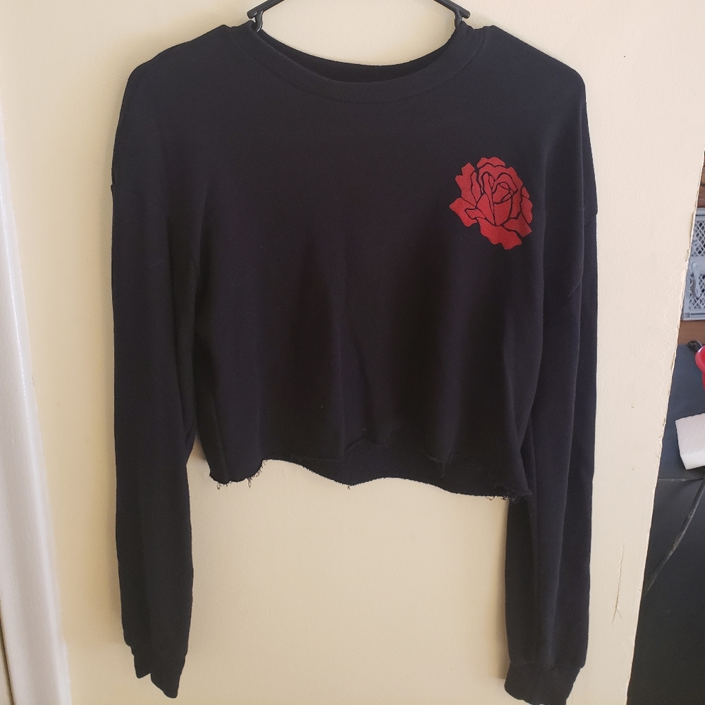 Fashion Nova Long Sleeve Crop Top